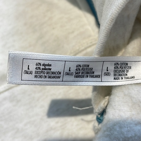 Disney Cruise Line Alaska Hoodie Size Large - Picture 7 of 8